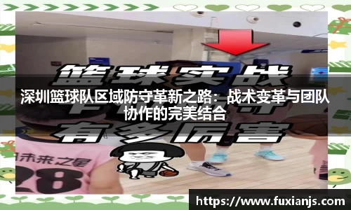 深圳篮球队区域防守革新之路：战术变革与团队协作的完美结合